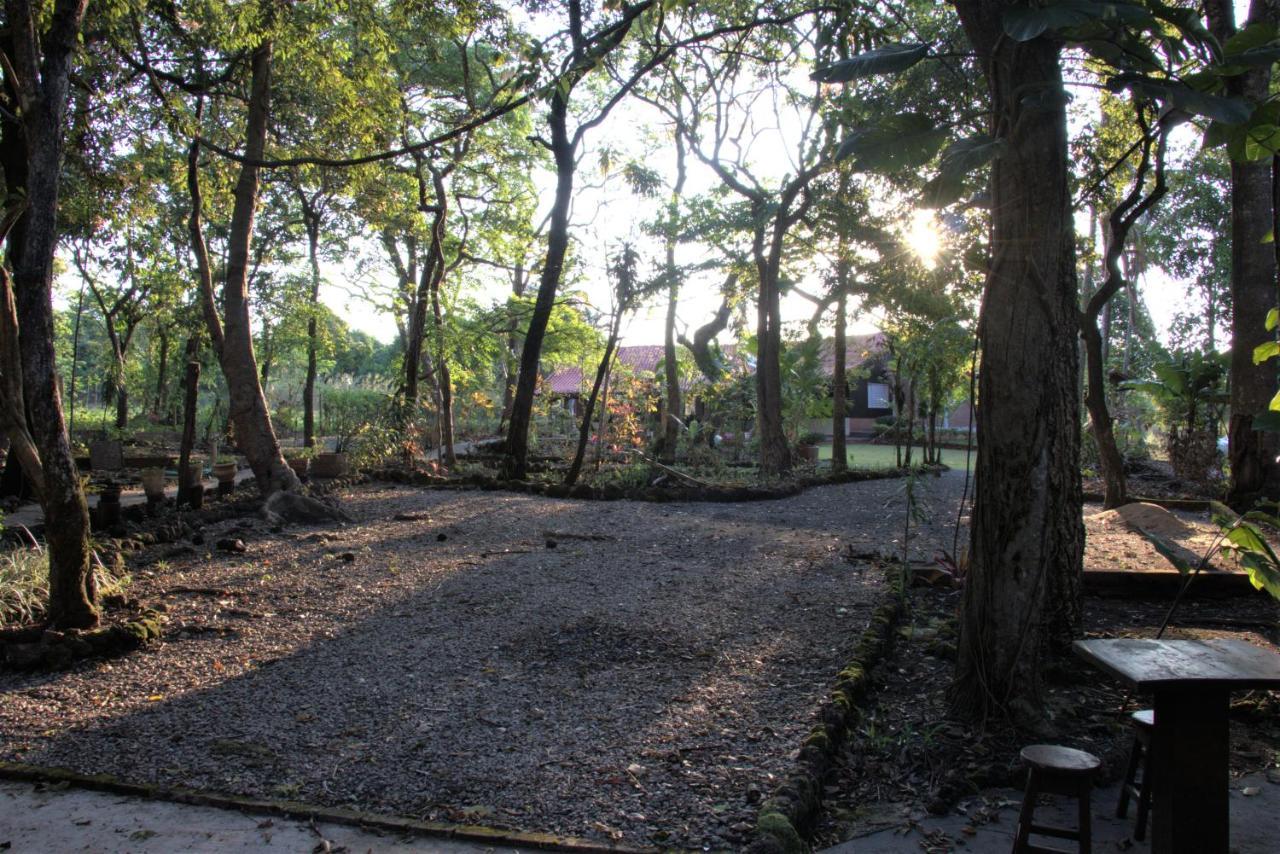 Casa Unica Com Piscina E Lareira A 1,2 Km Do Centro Villa Chapada dos Guimarães Exterior foto